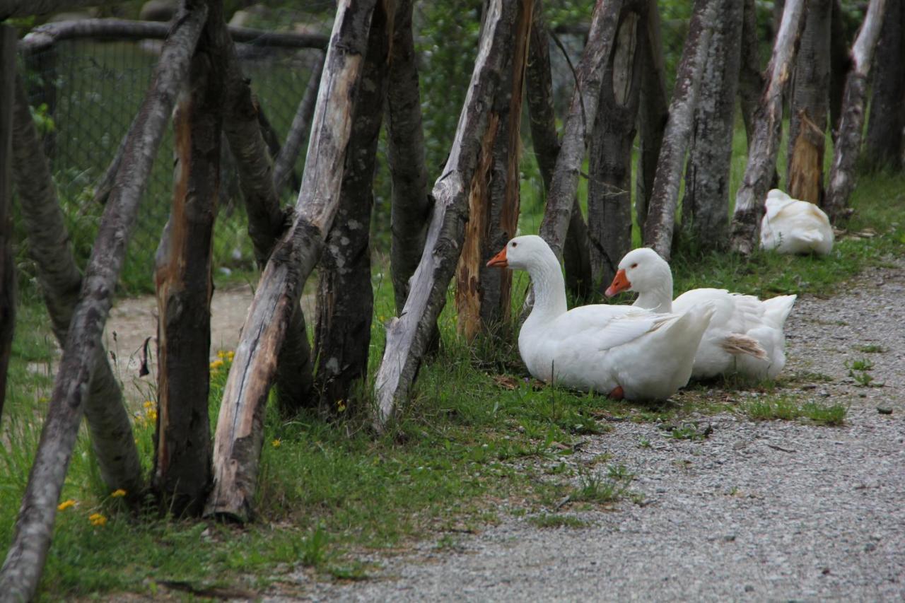 Albergo Lago Verde Pennabilli Exterior photo